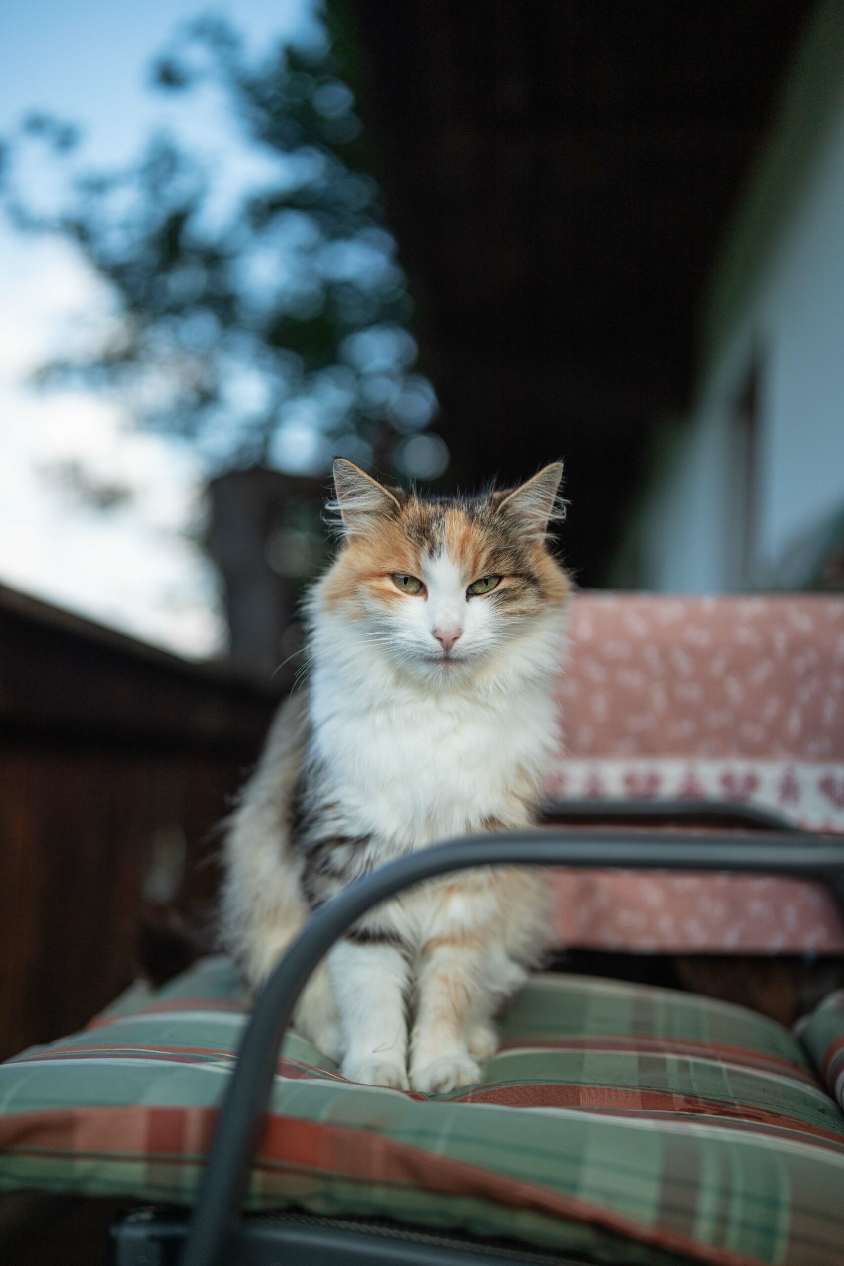 20220826_Digitalberatung_CAB EFA 22_019